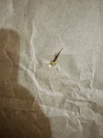 IMG_1471.jpeg