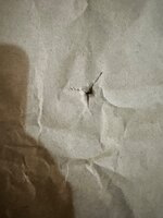 IMG_1470.jpeg