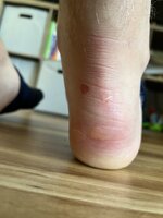 IMG_7166.JPG
