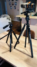 IMG_4978.jpeg