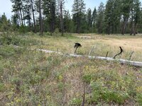 IMG_2759.jpeg