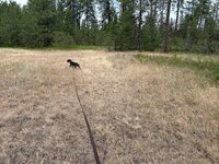 IMG_2760.jpeg