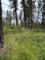 IMG_2761.jpeg