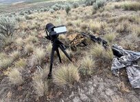 IMG_2916.jpeg