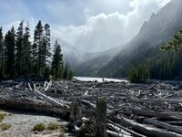 IMG_0071.jpeg