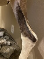 IMG_4642.jpeg