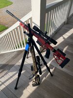 IMG_3111.jpeg