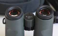 Swa-EL10x42-03.jpg