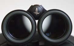 Swa-EL10x42-04.jpg