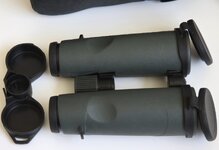 Swa-EL10x42-06.jpg