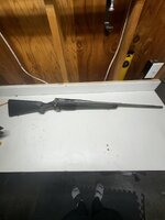 IMG_4234.jpeg