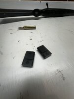 IMG_4239.jpeg