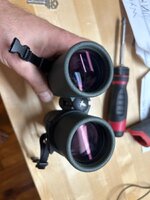 IMG_8154.jpeg