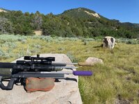 IMG_0450.jpeg