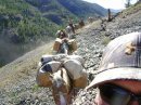 Trail 2.jpg