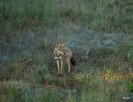 3-IMG_6026-20.JPG