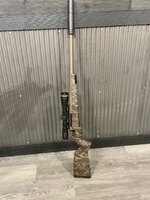 IMG_2788.jpeg IMG_2788.jpeg
