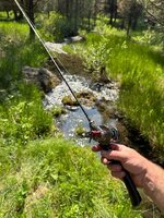 IMG_3151.jpeg