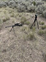 IMG_0169.jpeg
