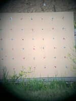 IMG_0730.jpeg
