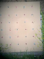 IMG_0729.jpeg