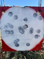 IMG_8559.jpeg