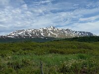 IMG_5386.jpeg