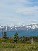 IMG_5375.jpeg