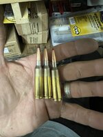 IMG_4018.jpeg