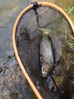 IMG_1707.jpeg