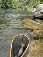 IMG_1710.jpeg