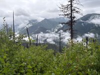 IMG_1706.jpeg