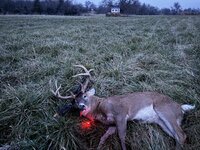 IMG_6493.jpeg