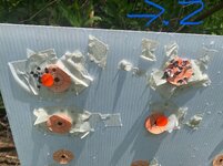 IMG_3144.jpeg