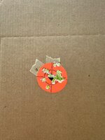 IMG_6572.jpeg