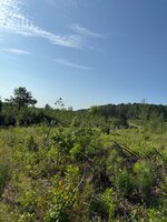 IMG_0161.jpeg