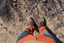IMG_1042.jpeg