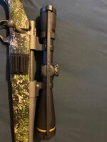 IMG_4495.jpeg