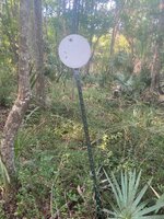 IMG_3149.jpeg