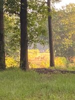 IMG_3103.jpeg
