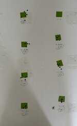 IMG_5567.jpeg