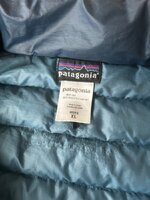 IMG_4385.jpeg IMG_4385.jpeg