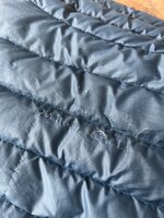 IMG_4386.jpeg IMG_4386.jpeg