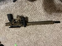 IMG_1568.jpeg