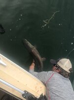 IMG_1091.jpeg