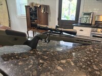 IMG_7039.jpeg