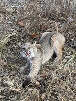 IMG_9071.jpeg