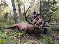 BC_ELK.jpg