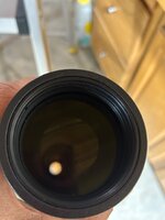 IMG_2629.jpeg