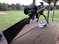 IMG_0216.jpeg